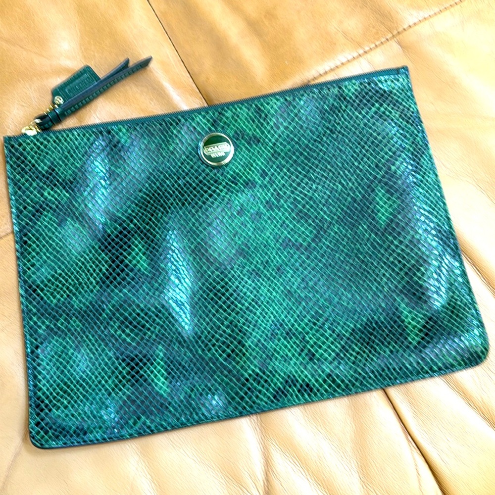 Gorgeous VINTAGE Coach clutch